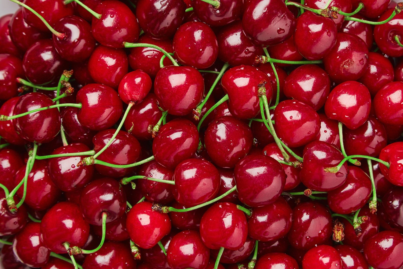 Close up of pile of ripe cherries. brouwer fruit - kersen verkoop