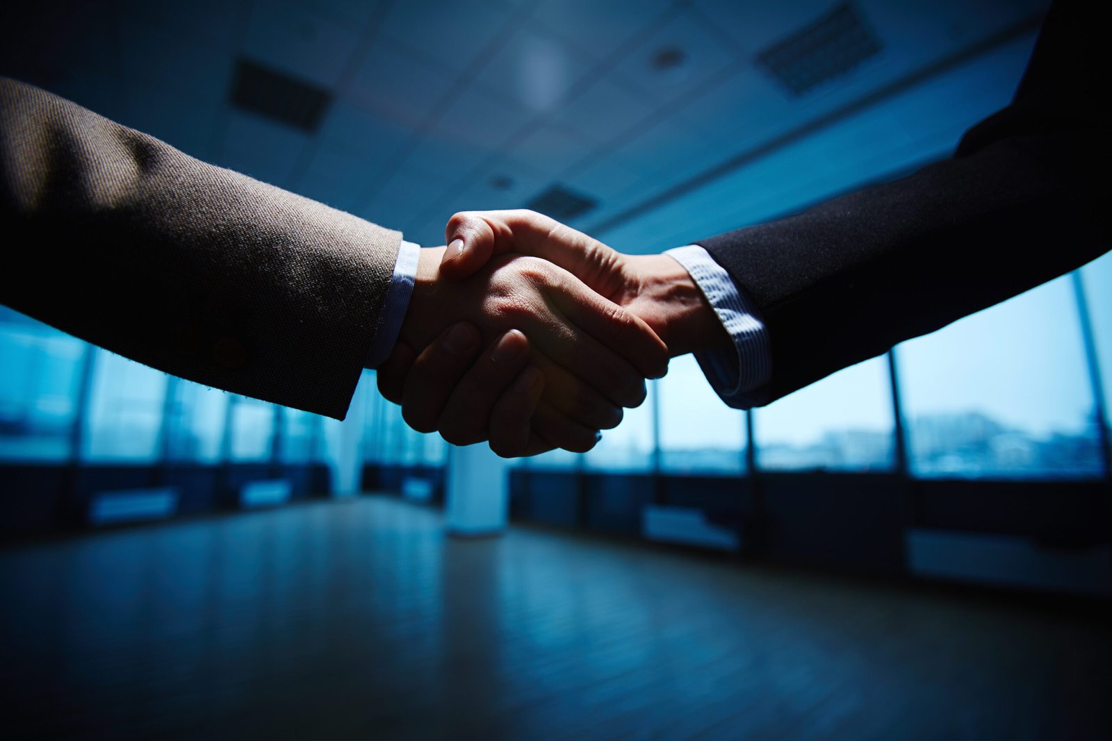 Handshake of business partners