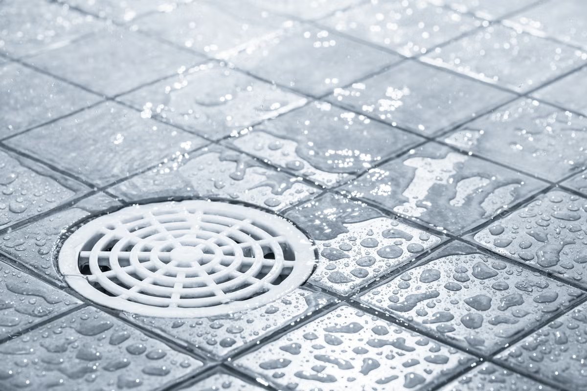 Image showing a clean, water-drenched shower floor with a clear drain.