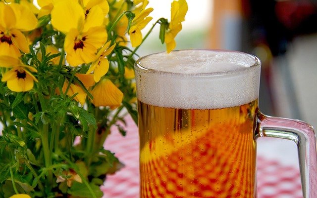 A glass of Amber Ale with a frothy head, showcasing its rich amber color, next to yellow flowers. What gives Amber Ale its sweet flavor?